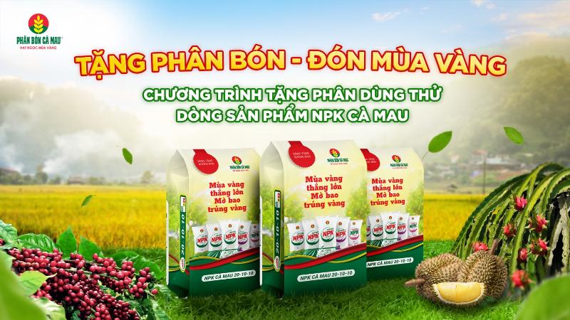 Một nông dân đang bón phân DAP cho cây trồng trên cánh đồng, thể hiện quá trình ứng dụng thực tế
